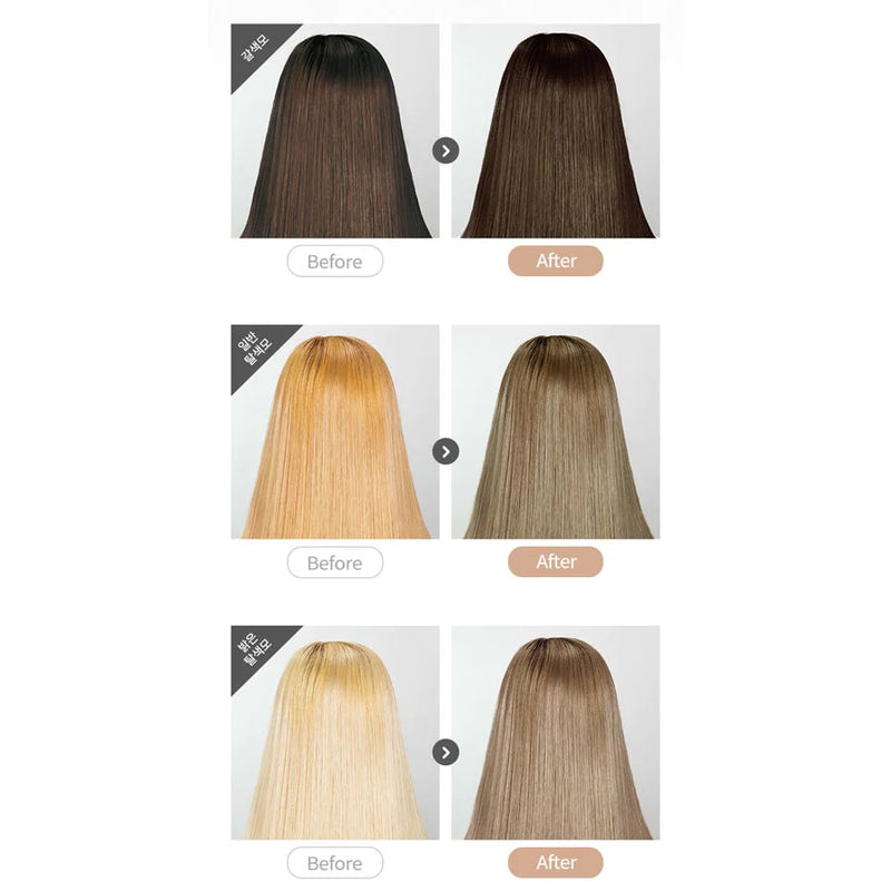 eZn Pudding Hair Color Ash beige